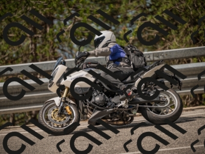 20250615103916-_Z621709_am_