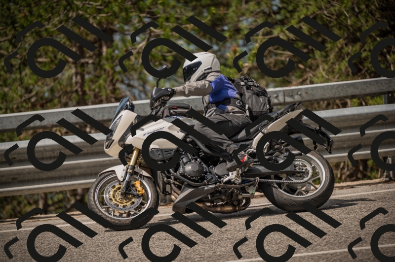 20250615103916-_Z621709_am_