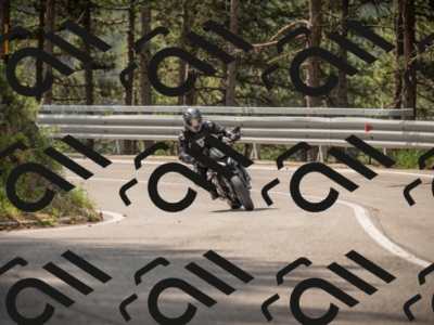 20250615104048-_Z621736_am_