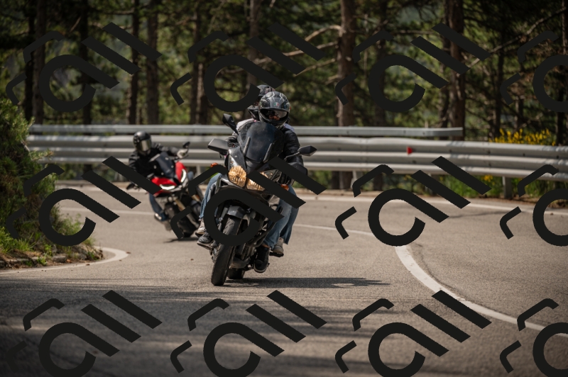 20250615104118-_Z621748_am_