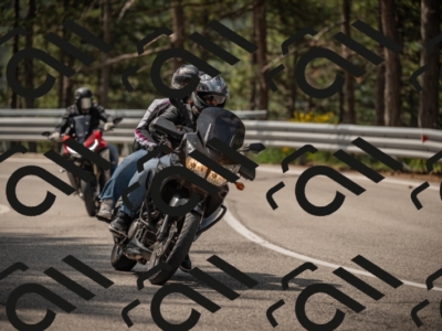 20250615104119-_Z621749_am_