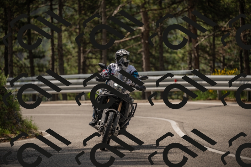 20250615104138-_Z621759_am_