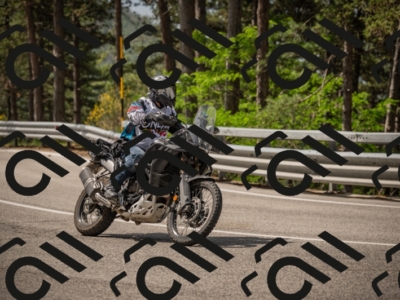 20250615104140-_Z621761_am_