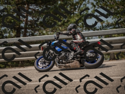 20250615104142-_Z621763_am_