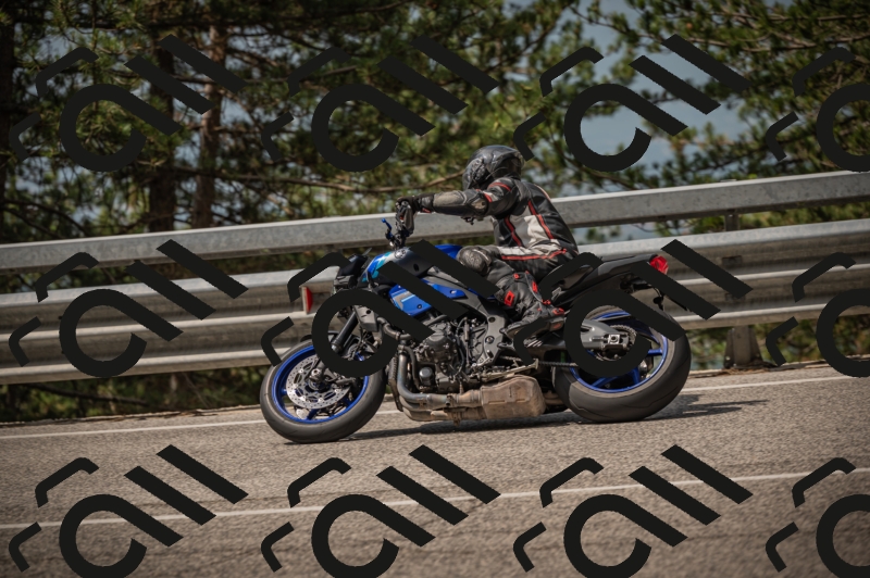 20250615104142-_Z621763_am_