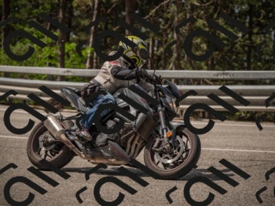 20250615104145-_Z621766_am_