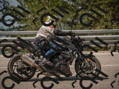 20250615104146-_Z621767_am_