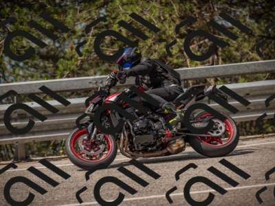 20250615104154-_Z621772_am_