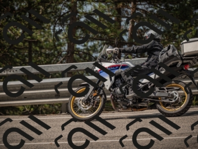 20250615104338-_Z621787_am_