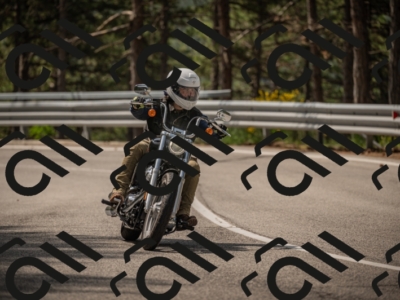 20250615104352-_Z621789_am_