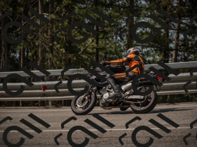 20250615105633-_Z621846_am_