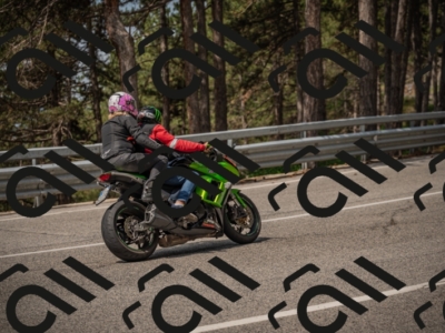 20250615105737-_Z621854_am_