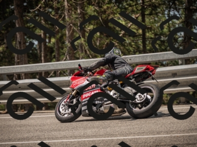 20250615110303-_Z621933_am_