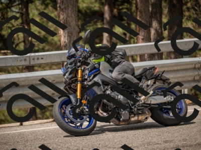 20250615110801-_Z621978_am_