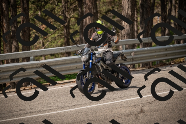 20250615110841-_Z621986_am_