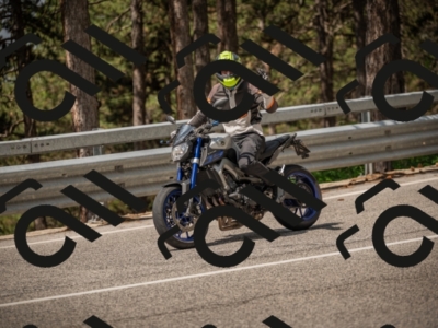 20250615110841-_Z621987_am_