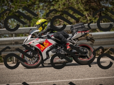 20250615111518-_Z622049_am_