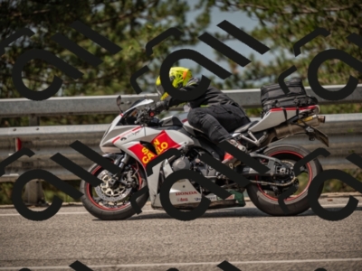 20250615111518-_Z622050_am_