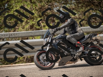 20250615112344-_Z622138_am_