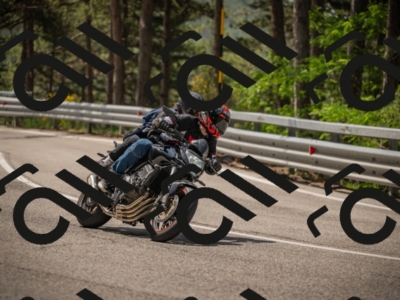 20250615112510-_Z622143_am_