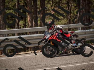 20250615112551-_Z622168_am_