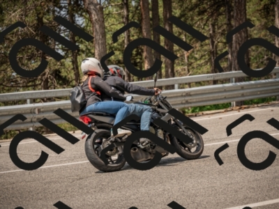 20250615112605-_Z622180_am_