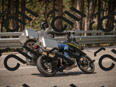 20250615112949-_Z622226_am_