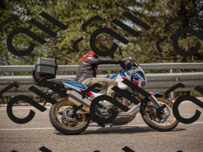 20250615113017-_Z622235_am_