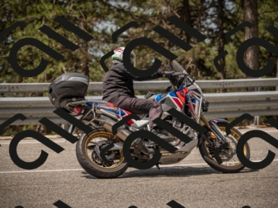 20250615113031-_Z622247_am_