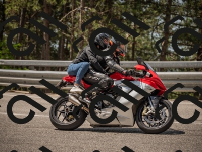 20250615113036-_Z622251_am_