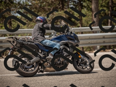 20250615113042-_Z622259_am_