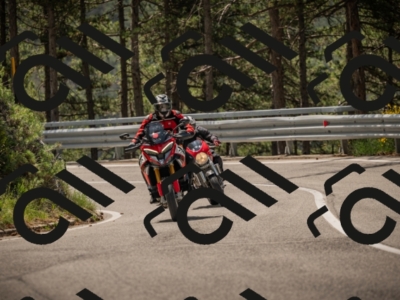 20250615113318-_Z622266_am_