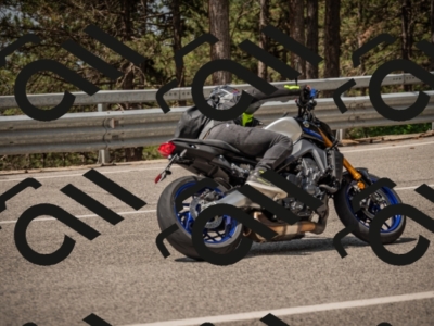 20250615113430-_Z622317_am_