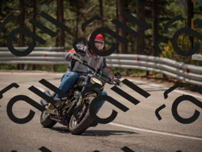 20250615113513-_Z622335_am_