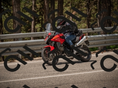 20250615113736-_Z622383_am_