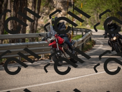 20250615113744-_Z622386_am_