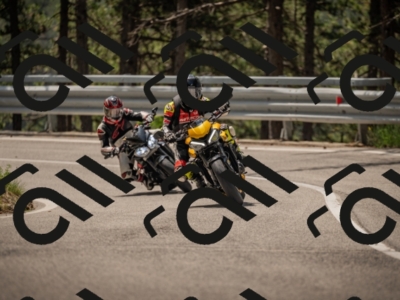 20250615114049-_Z622448_am_