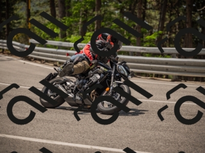 20250615114205-_Z622486_am_