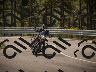 20250615114336-_Z622523_am_