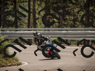 20250615114408-_Z622528_am_