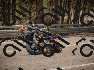 20250615114411-_Z622534_am_