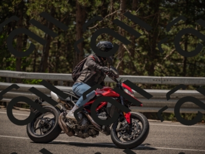 20250615115136-_Z622649_am_