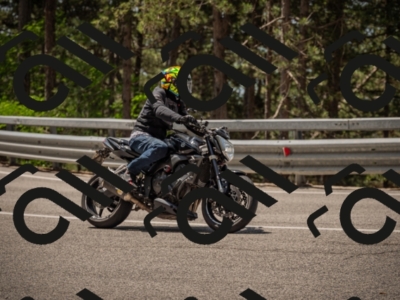 20250615115144-_Z622662_am_