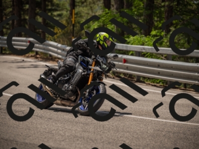 20250615115719-_Z622736_am_