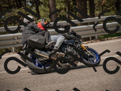 20250615115832-_Z622767_am_