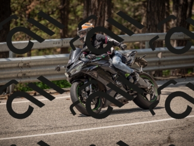 20250615115954-_Z622781_am_