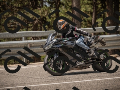 20250615115954-_Z622782_am_