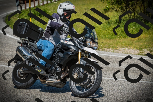 202506141119-DSC06831_c1_