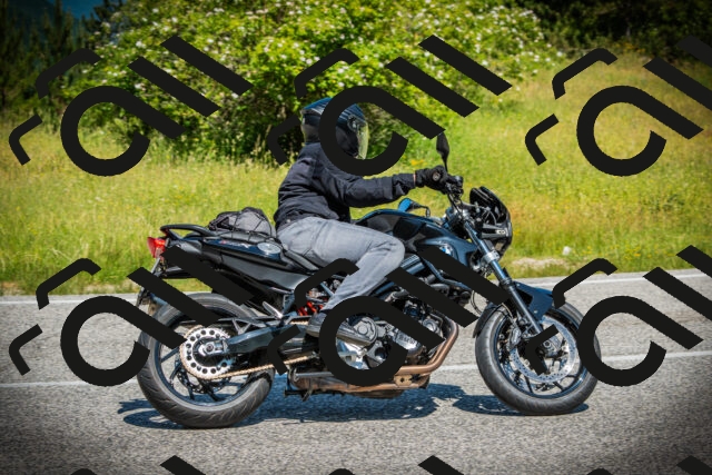 202506141127-DSC06900_c1_