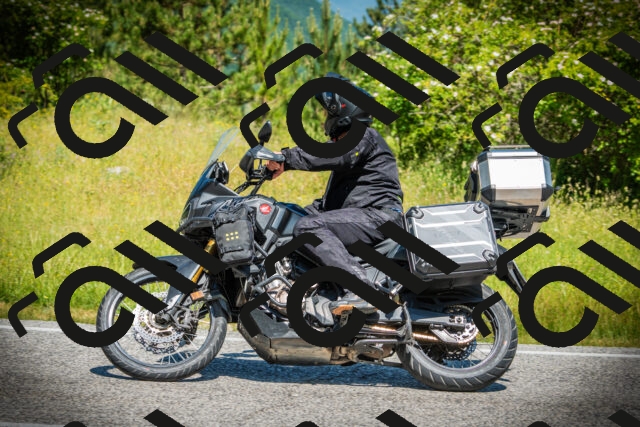 202506141130-DSC06926_c1_